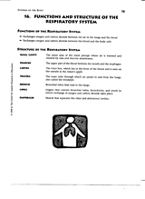 Functions and Structures of the Respiratory System