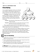 Classifying Process Skills