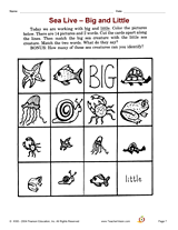 Sea Live -- Big and Little