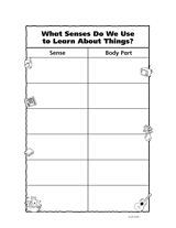 What Senses Do We Use to Learn About Things?