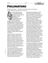 Science, Technology and Society: Pollinators