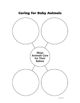 Caring for Baby Animals