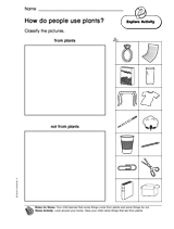 How Do People Use Plants?