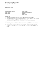 Investigate Activity: Investigating Eggshells