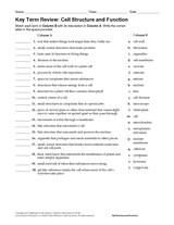 Science Key Term Review: Cell Structure and Function