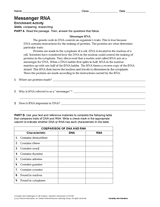 Activity: Messenger RNA
