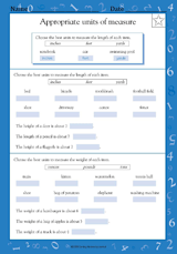 Appropriate Units of Measure (Grade 4)
