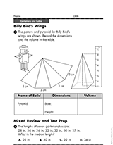 Billy Bird`s Wings
